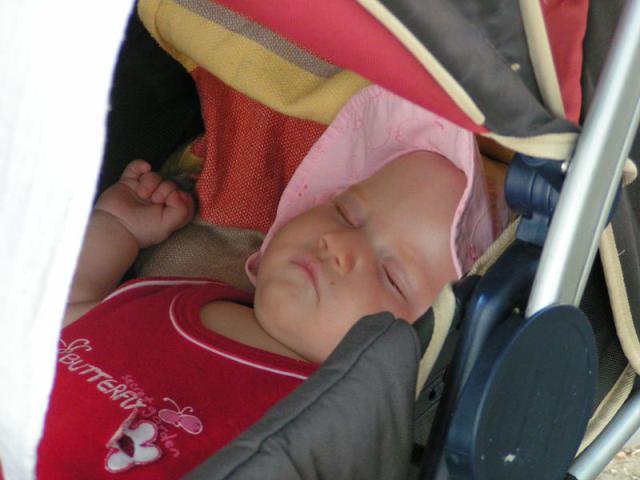 PICT1050.JPG