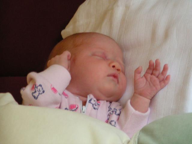 PICT0069.JPG