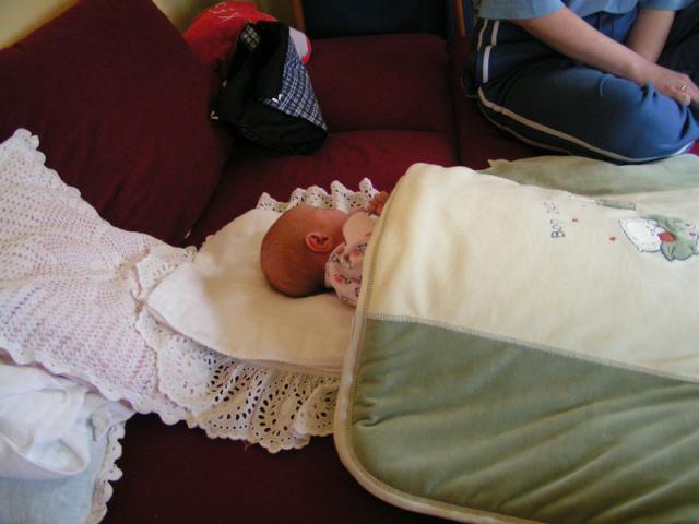 PICT0061.JPG