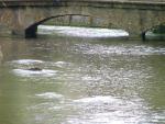 Bourton-on-the-Water 03